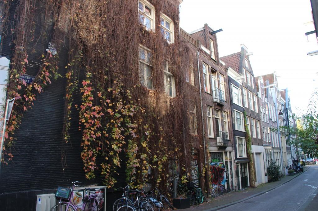 Lost in Amsterdam #1 (Visit + Enjoy)