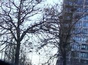 Point Barre Édition Pixel: Raspberry Life Strange, Apotheon Dans Quiz