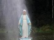 Belles Dames création