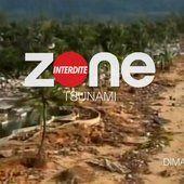 Zone Interdite : Tsunami, dix ans après