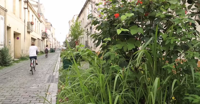 Création d'une rue jardin : un exemple à Bordeaux