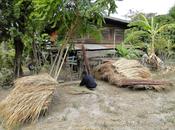 Issan saison fraîche, silence tresse [HD]