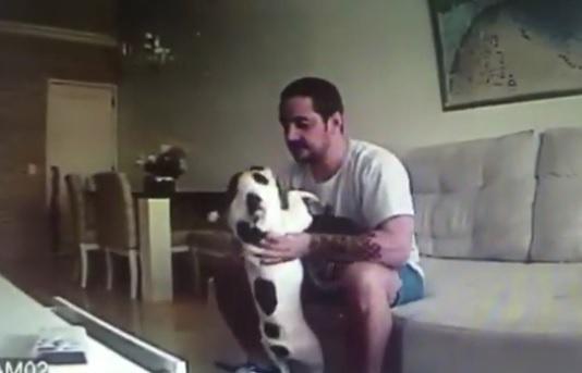 Un homme maltraite des chiens (Brésil)