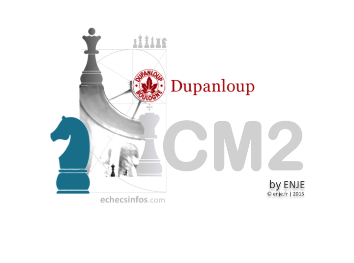 Enseignement du jeu d'échecs sur le temps scolaire (CM2)