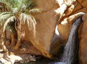 Dernière Minute Early Booking