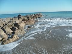 posie,poème,poète,nature,histoire,écriture,auteur,recueil