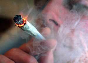 Bob Marley Et La Folle Histoire Du Cannabis Paperblog