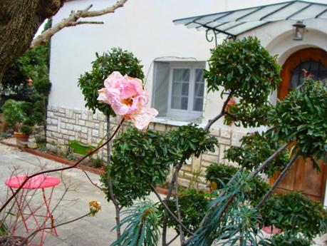 Aimer... tout le temps …