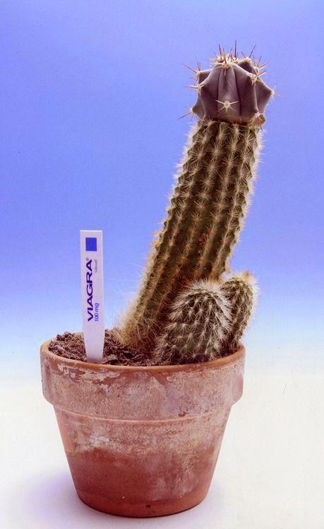 Aimer... tout le temps …