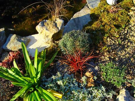 Aimer... tout le temps …