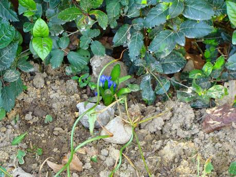 Aimer... tout le temps …