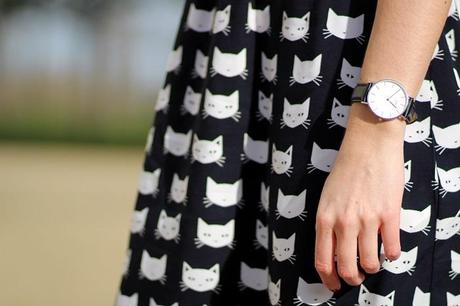 MIAOU (concours) IMG_9513