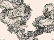 Maarius restarts from bottom Discobelle Records