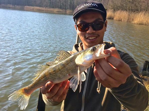 Beau brochet du domaine du grand étang de Narcy