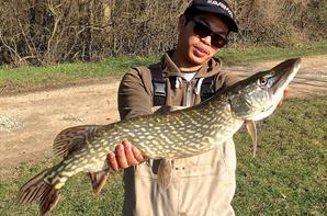 Beau brochet du domaine du grand étang de Narcy