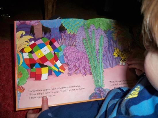 Elmer et le monstre - David Mckee (1)