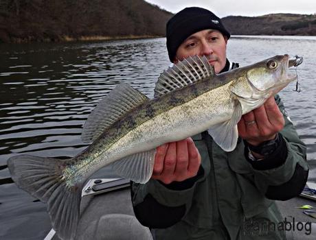 Verticalisation - IV 14-02-2015 (3)