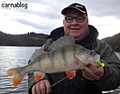 Verticalisation - IV 14-02-2015 (2)