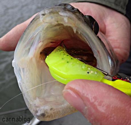 Verticalisation - IV 14-02-2015 (5)