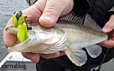 Verticalisation - IV 14-02-2015 (11)