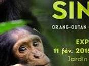 faire Paris pendant vacances d’hiver