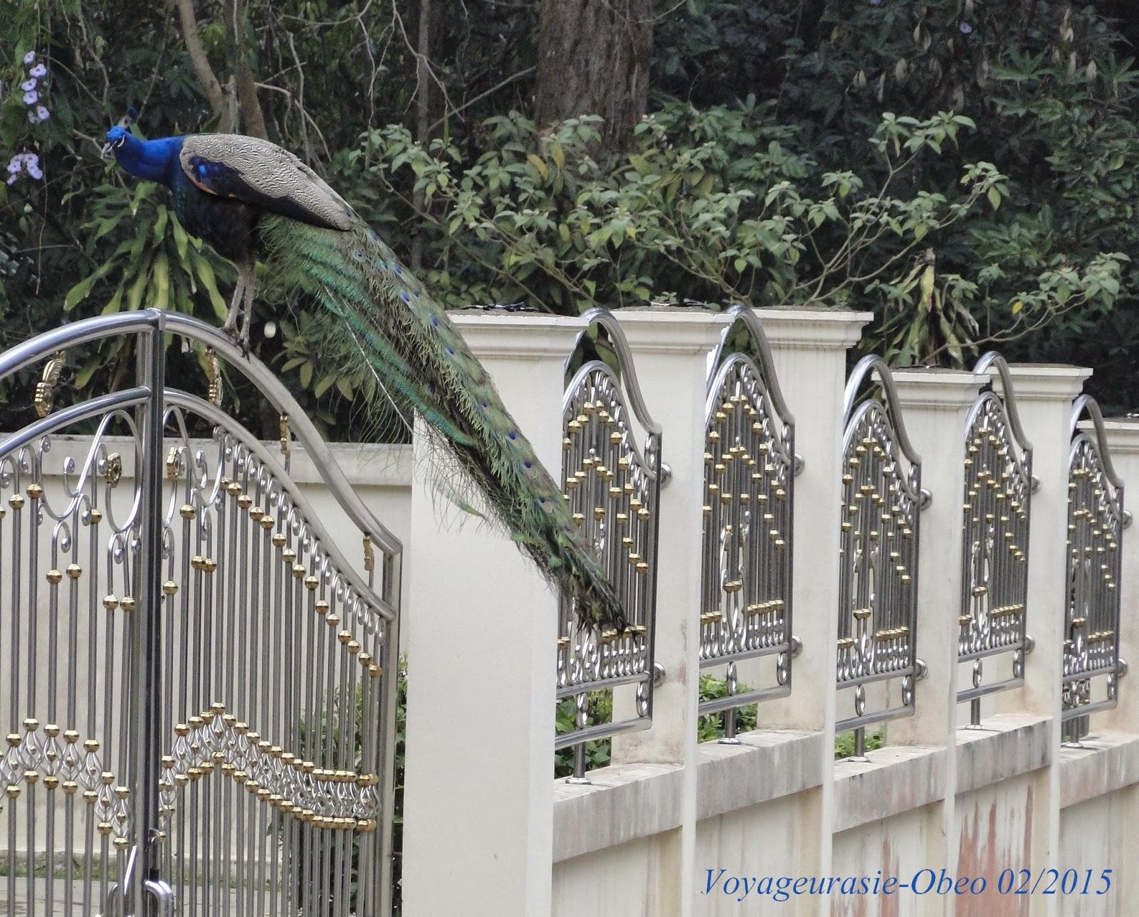 Contrée generatrice de zénitude ?: l'Issan [HD]
