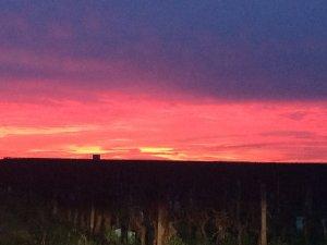 gratin de légumes en crumble