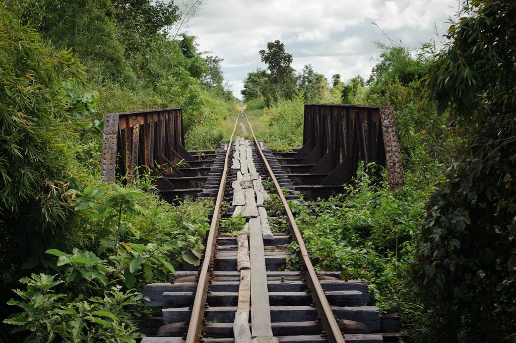 bamboo train