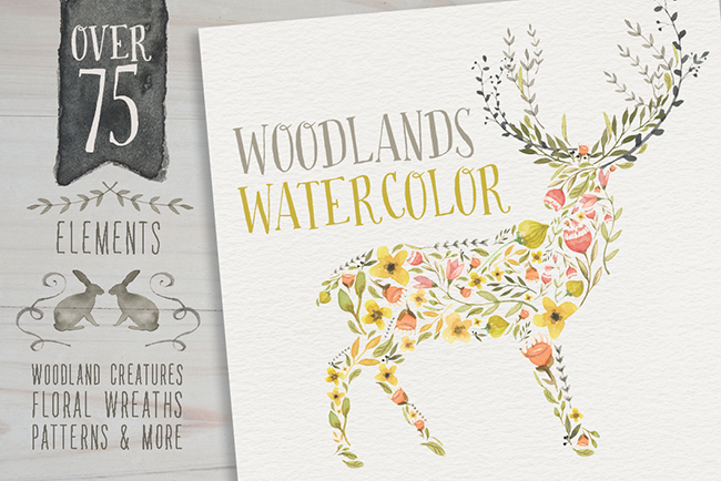 5 éléments graphiques aquarelle - Woodlands Watercolor megapack