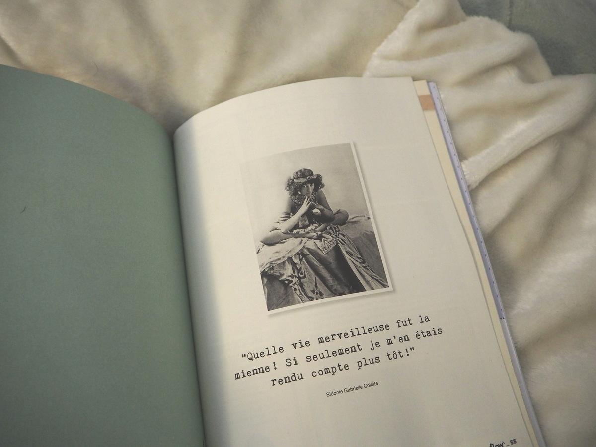 Flow, enfin du neuf en France ! 