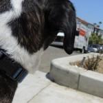 HighTech : Retrouvez tous vos objets !