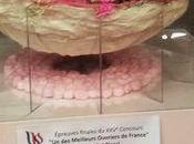 Quelques nouvelles images finale Salon végétal d'Angers