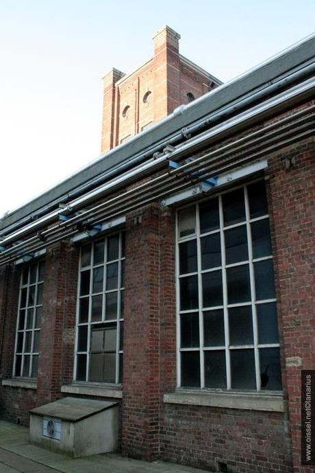 Orgachim·5 mois av. démolition-1