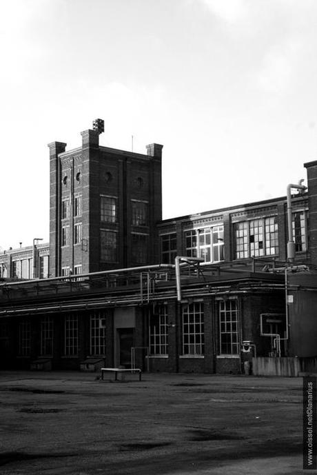 Orgachim·5 mois av. démolition-1