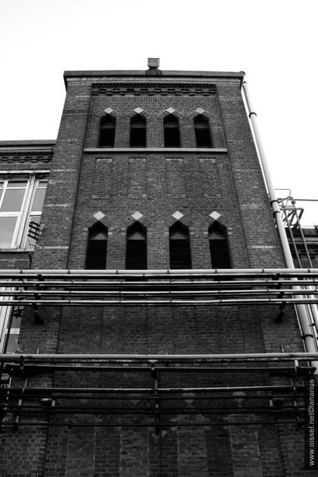 Orgachim·5 mois av. démolition-1