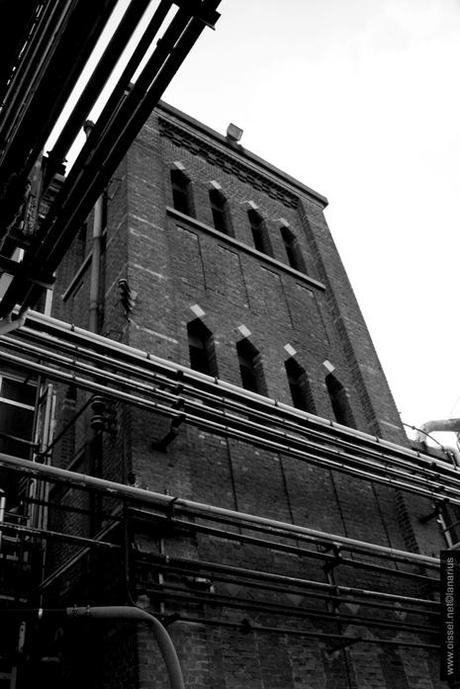 Orgachim·5 mois av. démolition-1