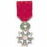 Cérémonie de remise de Légion d'honneur, Georges Trouvé