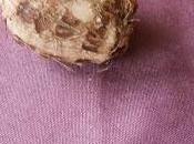 Plantation d'un légume exotique