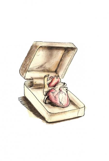 webzine,bd,gratuit,fanzine,zébra,bande-dessinée,dessin,michel soucy