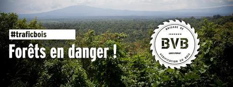Bois illégal : à vous d'agir ! Bois illégal : à vous d'agir !