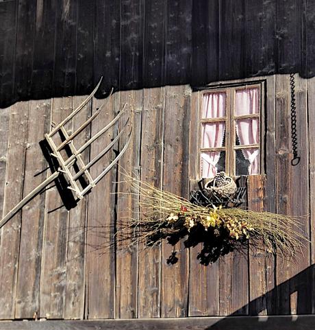 Une escapade à la montagne.