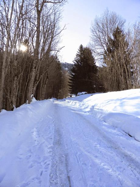 Une escapade à la montagne.