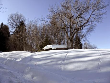 Une escapade à la montagne.