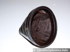 Le marc de café est facile à recycler et constitue un excellent engrais pour vos plantes