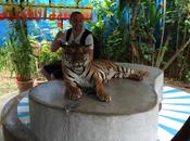 #Thaïlande Quelques photos vacances