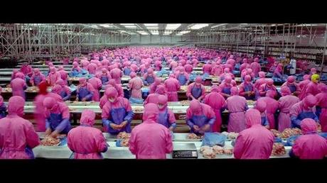 Samsara - 6 minutes sur l'industrie alimentaire qui donne froid dans le dos (Vidéo)