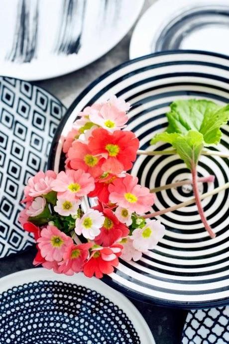 Plante-du-mois-Primevère-Of-Spring-and-summer-sur-Nat-et-nature Semaine 8_2015 sur les blog déco