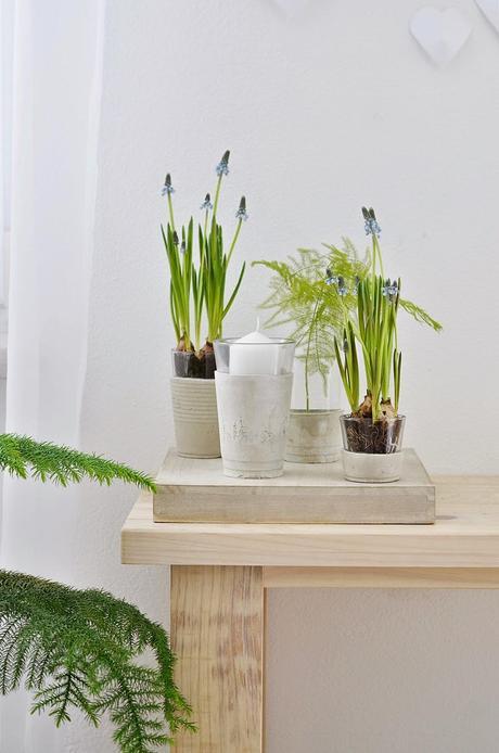 DIY-vases-en-verre-et-beton-Sinnenrausch-sur-Nat-et-nature Semaine 8_2015 sur les blog déco