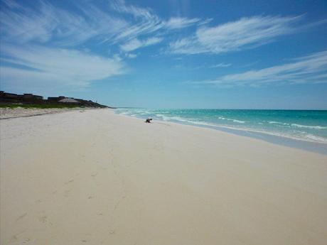 anteketborka.blogspot.com, ciel 19 d