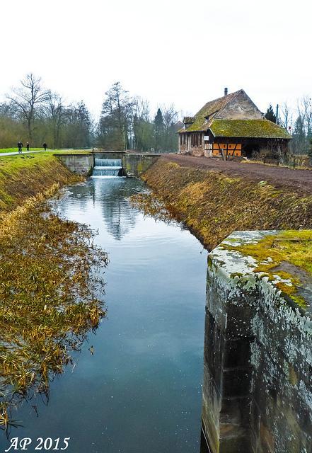 Cours d'eau / Water Way